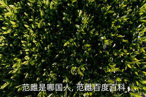  范雎是哪國人, 范雎百度百科