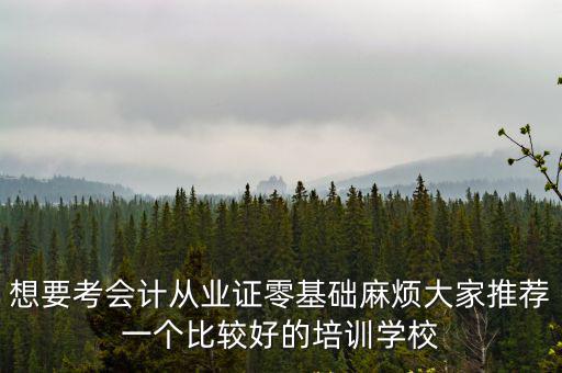 想要考會計從業證零基礎麻煩大家推薦一個比較好的培訓學校