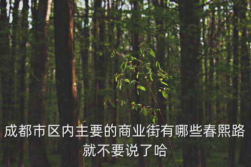 成都市區內主要的商業街有哪些春熙路就不要說了哈
