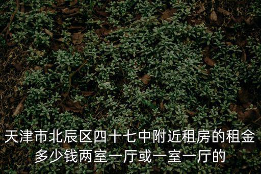 天津市北辰區(qū)四十七中附近租房的租金多少錢兩室一廳或一室一廳的