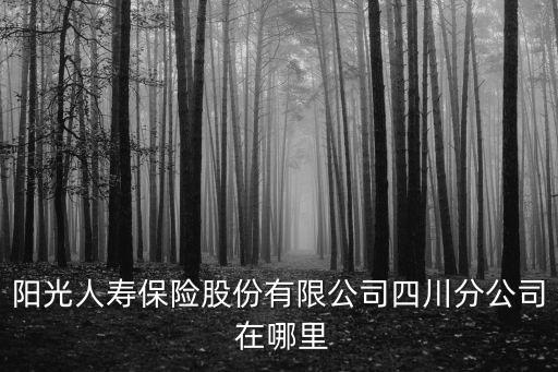 陽光人壽保險股份有限公司四川分公司 在哪里