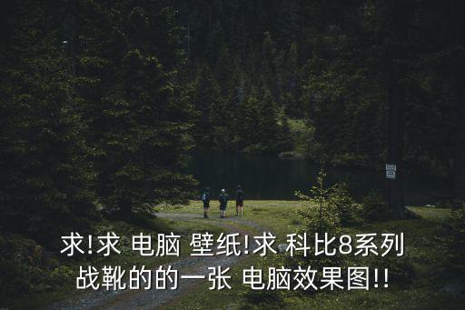 求!求 電腦 壁紙!求 科比8系列戰(zhàn)靴的的一張 電腦效果圖!!