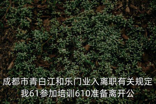 成都市青白江蓉歐商會，成都青白江貸款公司先交錢在放款是真的嗎