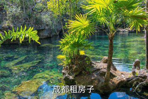 成都租房子