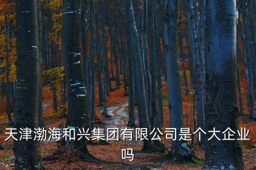 天津渤海和興集團有限公司是個大企業嗎