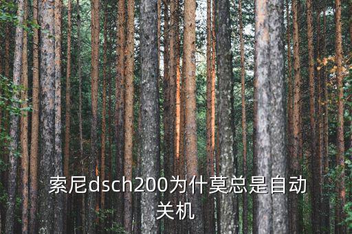 索尼H200,索尼索尼00四節(jié)電池使用鋰(5號(hào)電池
