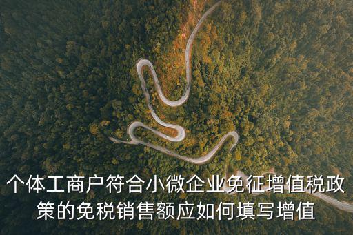 天津市小微企業免征增值稅申報表，個體工商戶符合小微企業免征增值稅政策的免稅銷售額應如何填寫增值