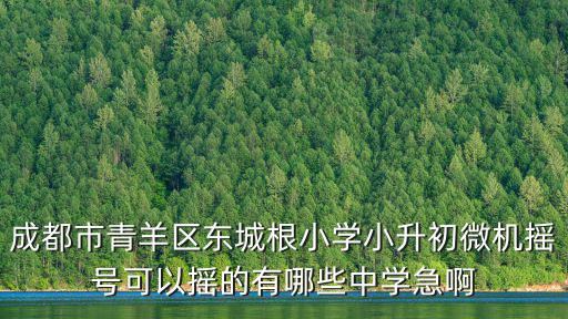成都市青羊區東城根小學小升初微機搖號可以搖的有哪些中學急啊