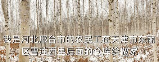 天津市東麗區陶玉珍，我是河北邢臺市的農民工在天津市東麗區雪蓮西里后面的倉庫給做家