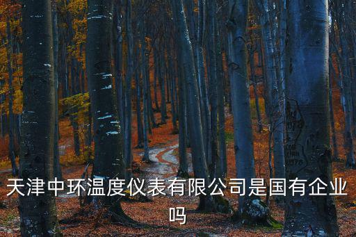 天津中環溫度儀表有限公司是國有企業嗎