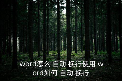  word怎么 自動 換行使用 word如何 自動 換行
