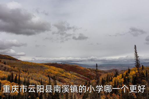 重慶市云陽縣南溪鎮的小學哪一個更好