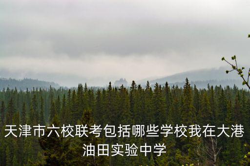 天津市六校聯考包括哪些學校我在大港油田實驗中學