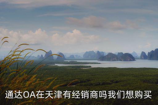通達OA在天津有經銷商嗎我們想購買