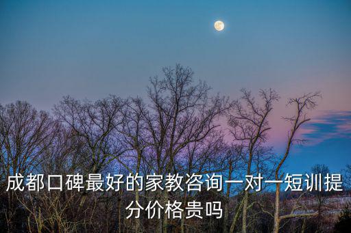 成都口碑最好的家教咨詢一對一短訓提分價格貴嗎