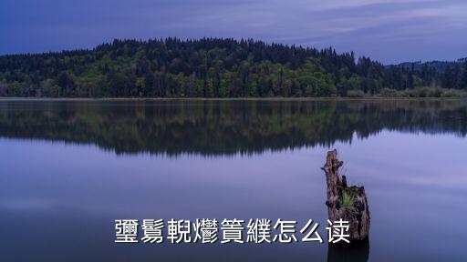瓕鬄輗爩篢纀怎么讀