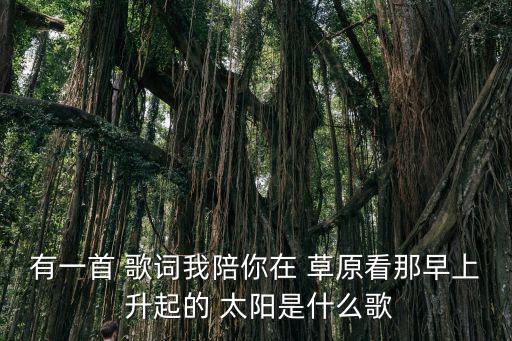 有一首 歌詞我陪你在 草原看那早上 升起的 太陽是什么歌