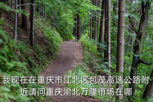 重慶市萬隆實業有限公司，我現在在重慶市江北區包茂高速公路附近請問重慶渝北萬隆市場在哪