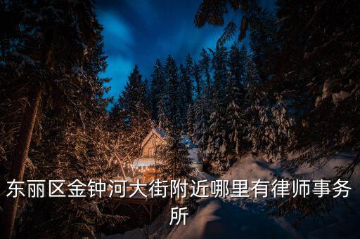 東麗區金鐘河大街附近哪里有律師事務所