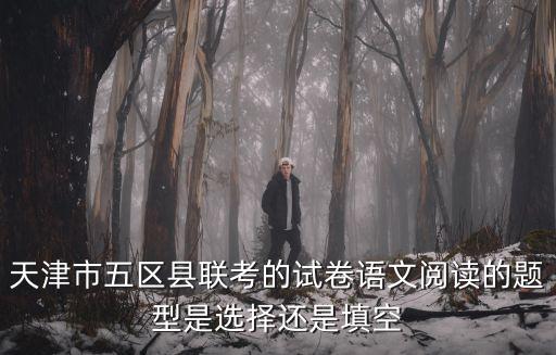 天津市五區縣聯考的試卷語文閱讀的題型是選擇還是填空