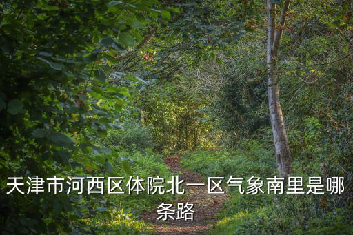 天津市河西區體院北一區氣象南里是哪條路