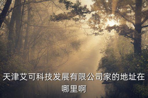 天津艾可科技發(fā)展有限公司家的地址在哪里啊