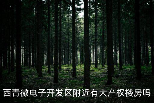 西青微電子開發(fā)區(qū)附近有大產(chǎn)權(quán)樓房嗎