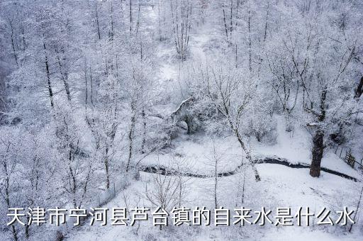 天津市寧河區供水，天津市寧河縣