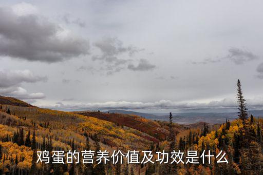 雞蛋的功效與作用,雞蛋的營養價值有哪些?