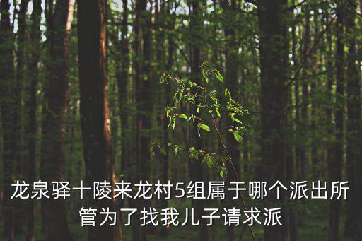 龍泉驛十陵來龍村5組屬于哪個派出所管為了找我兒子請求派
