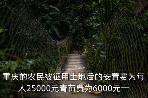 重慶市青苗土地賠償政策，重慶的農民被征用土地后的安置費為每人25000元青苗費為6000元一