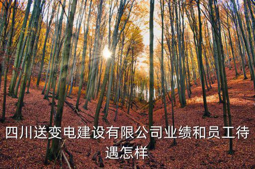 四川送變電建設有限公司業績和員工待遇怎樣