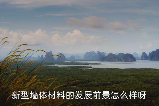 成都市新宿墻體材料應用發(fā)展公司，新型墻體材料的發(fā)展前景怎么樣呀