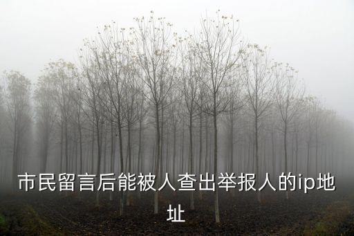 市民留言后能被人查出舉報人的ip地址