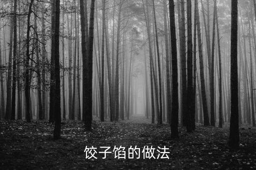 水餃餡,第八集:水餃怎么做好吃!