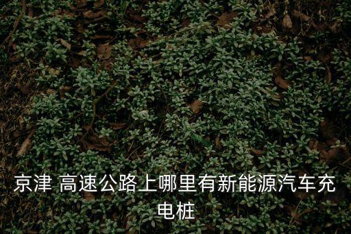 京津 高速公路上哪里有新能源汽車充電樁