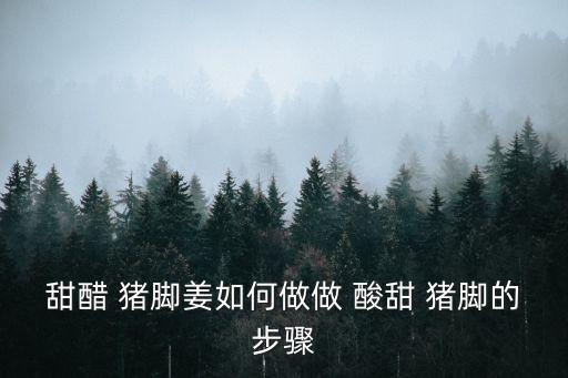 酸甜豬腳的做法,秘制豬蹄怎么做?