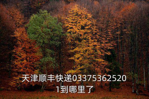天津順豐快遞033753625201到哪里了