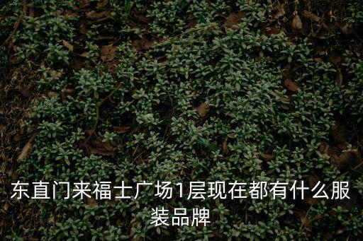 東直門來福士廣場1層現(xiàn)在都有什么服裝品牌