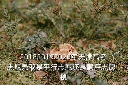 201820192020年天津高考志愿錄取是平行志愿還是順序志愿  搜