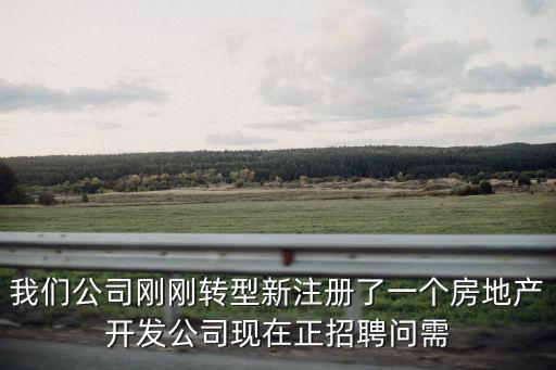 天津市普利達房地產開發有限公司招聘信息，我們公司剛剛轉型新注冊了一個房地產開發公司現在正招聘問需