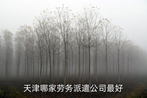 天津哪家勞務(wù)派遣公司最好