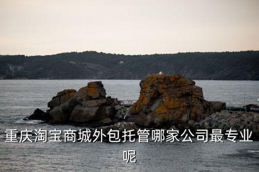 重慶淘寶商城外包托管哪家公司最專業呢