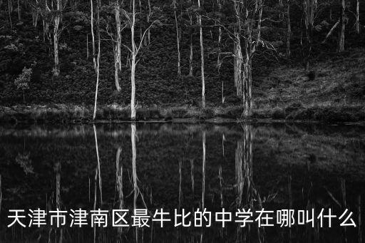 天津市津南區最牛比的中學在哪叫什么