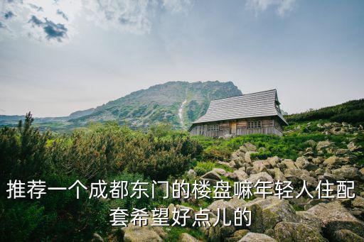 推薦一個成都東門的樓盤嘛年輕人住配套希望好點兒的
