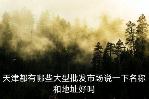 天津都有哪些大型批發市場說一下名稱和地址好嗎
