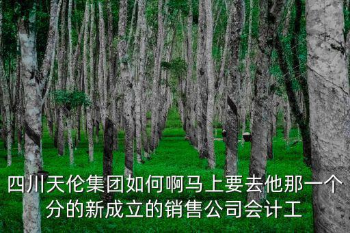 四川天倫集團(tuán)如何啊馬上要去他那一個(gè)分的新成立的銷售公司會(huì)計(jì)工