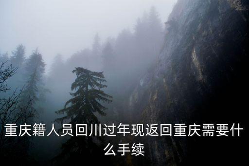 重慶籍人員回川過年現返回重慶需要什么手續