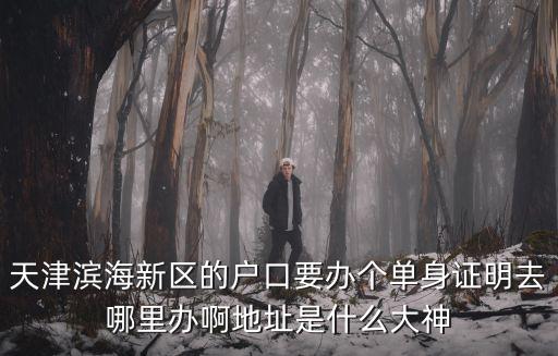 天津?yàn)I海新區(qū)的戶口要辦個(gè)單身證明去哪里辦啊地址是什么大神