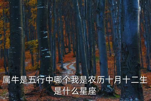 屬牛是五行中哪個我是農歷十月十二生是什么星座